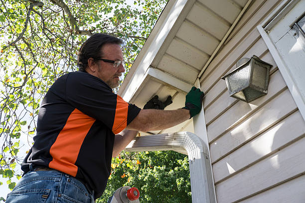 Affordable siding repair and maintenance services in Seabrook, MD